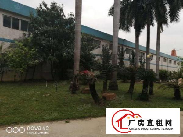 原房东砖墙到顶单一层带行车厂房3300平方出租