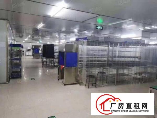  黄江原房东独院分水电齐全电梯两吨带千级无尘车间与百级无尘车间
