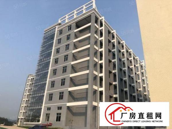  黄江高速出口靠樟木头全新标准厂房出租一手房东园区形象好易招工