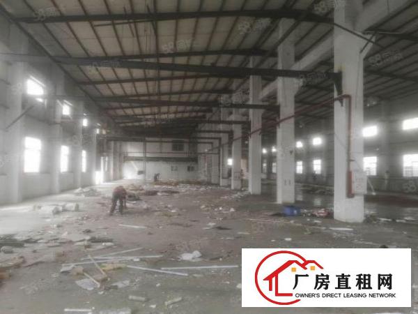  2800平方临近深圳单一层钢十五一平方哟黄江镇