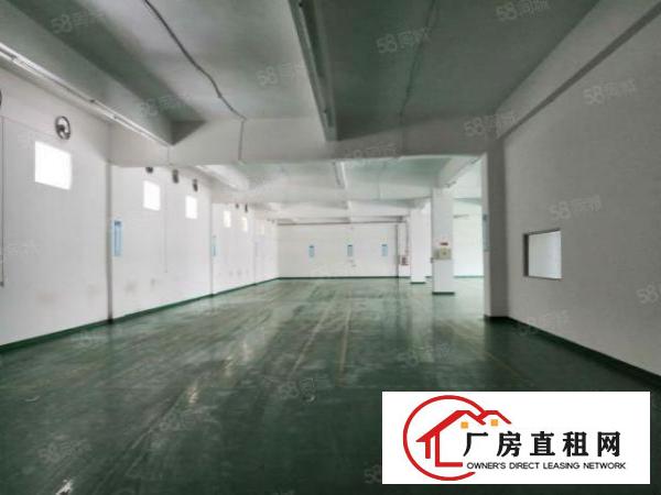  黄江北岸新出楼上1200平米主线到位有办公室