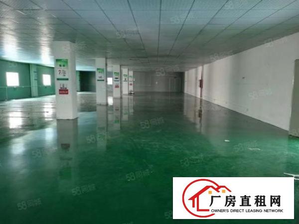  黄江北岸工业区原房东自用厂房一二楼出租，每层1600平
