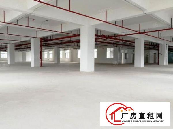  黄江东吴科学园标准全新厂房，大小可分租，即租即用，可办环评