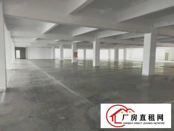  （原房东）黄江镇北岸工业区2楼2400平方实际面积出租