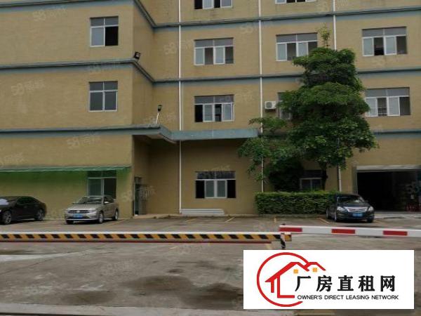  黄江合路一二楼出租可分租有水电办公室装修