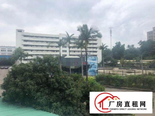  黄江新出花园式厂房3000方，免费送空中花园办公室，形象好