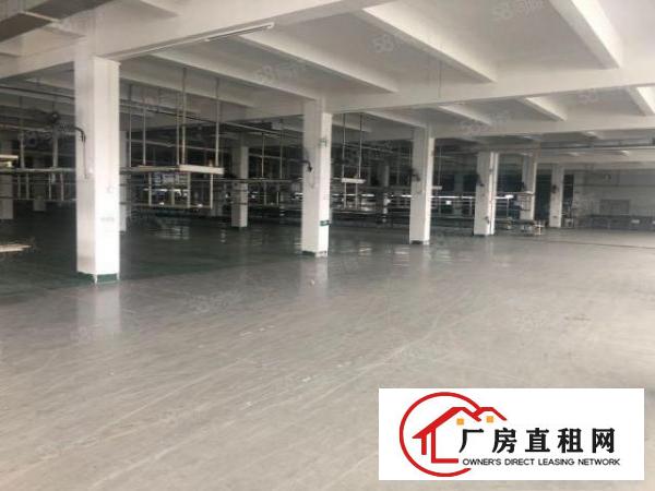  黄江新出花园式厂房3000方，免费送空中花园办公室，形象好