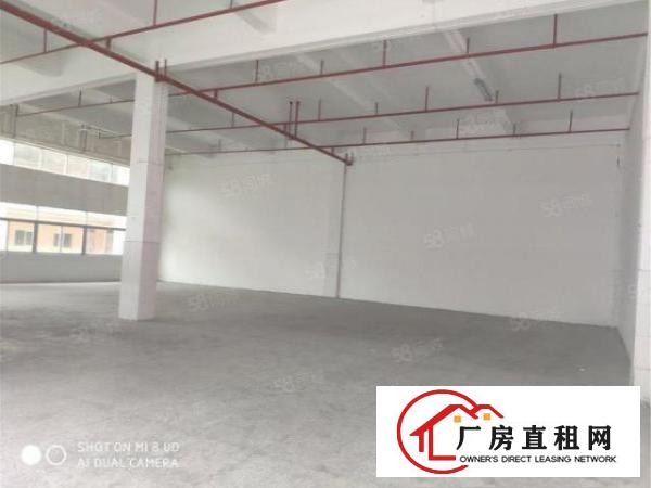  黄江镇北岸工业区标准一楼500方，带办公室消防喷淋，可进大车