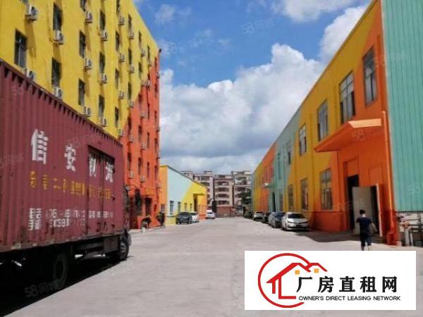  黄江镇出租标准厂房1200平方12块钱，工业用地