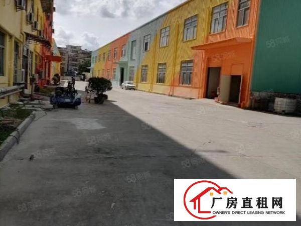  黄江镇出租标准厂房1200平方12块钱，工业用地