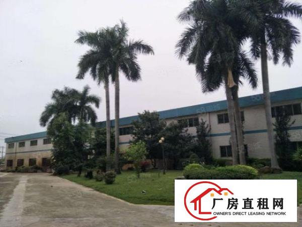  黄江新出原房东独院单一层厂房宿舍办公共4888平米出租可分租