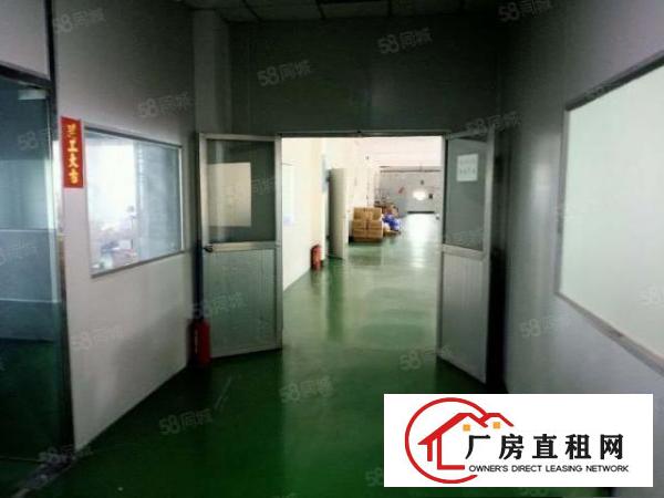  黄江北岸工业区原房东独院厂房分租园区空地大形象好