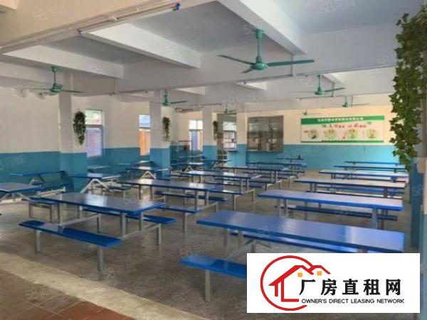  黄江北岸工业区原房东独院厂房分租园区空地大形象好