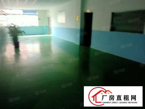 黄江北岸工业区原房东独院厂房分租园区空地大形象好