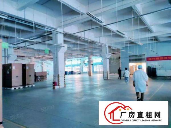  黄江北岸工业区原房东独院厂房分租园区空地大形象好