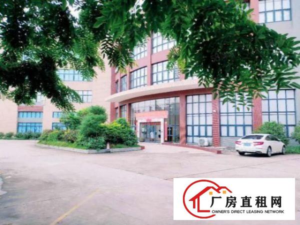  黄江北岸工业区原房东独院厂房分租园区空地大形象好