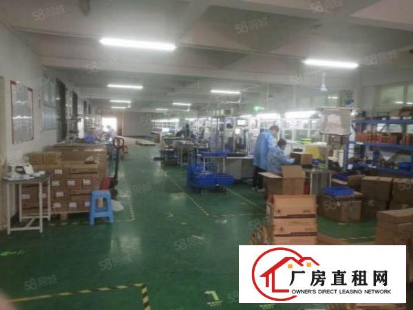  黄江梅塘幼儿园旁边工业园二楼1150精致装修