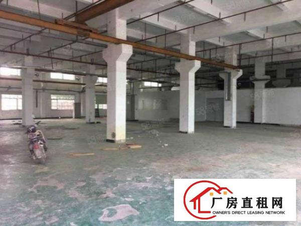  黄江板湖一楼1400平米精装可分租