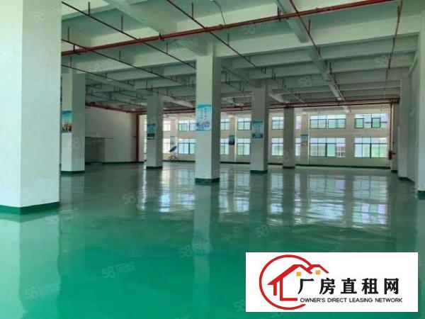  黄江标准一楼1680平，证件齐全，带精装修，办公室，拎包入住