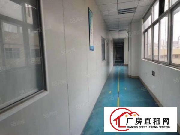  东莞黄江田心新出无尘车间1000平方厂房出租