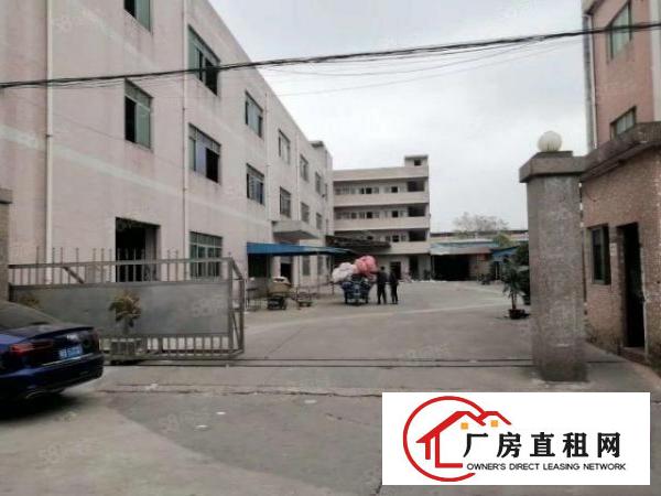  东莞黄江田心新出无尘车间1000平方厂房出租