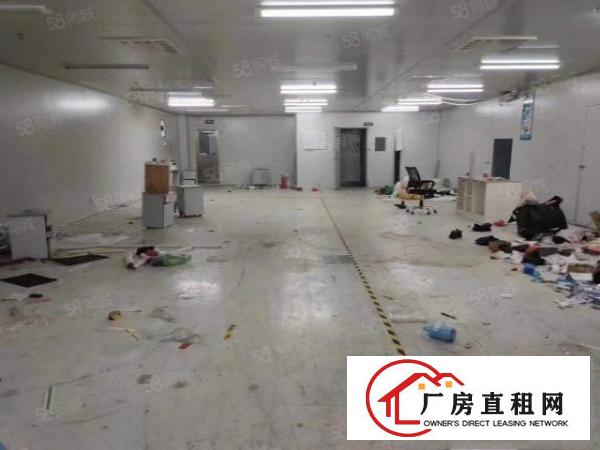  东莞黄江田心新出无尘车间1000平方厂房出租