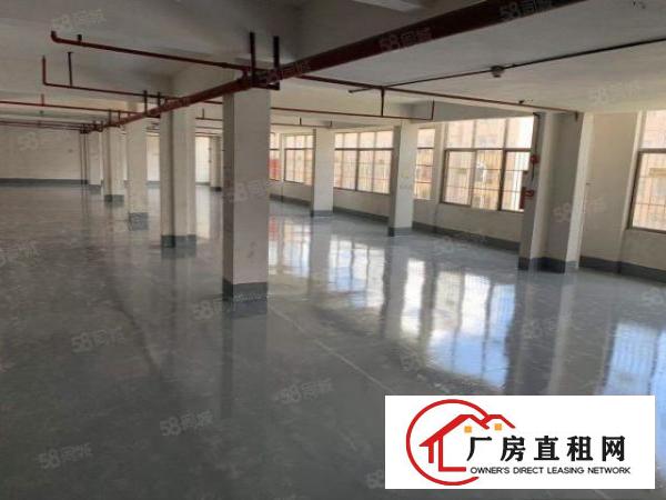  黄江镇出租标准厂房1000平方，现成装修地坪漆，可分租