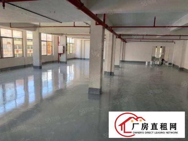  黄江镇出租标准厂房1000平方，现成装修地坪漆，可分租