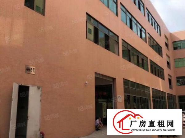  黄江镇出租标准厂房1000平方，现成装修地坪漆，可分租
