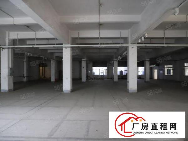  黄江长龙高速口新出厂房大小可分业主直租
