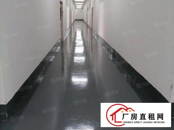  黄江靠深圳独院全新厂房1万平分租500起分，带无尘车间