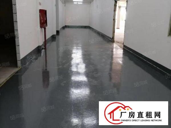  黄江靠深圳独院全新厂房1万平分租500起分，带无尘车间