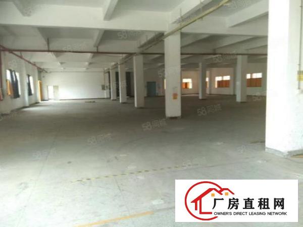 黄江镇中心区新出标准厂房一楼1000平米