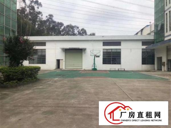  黄江临深钢构800方，原房东工业用地，带牛角空地大，滴水8米