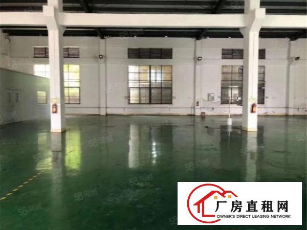  黄江临深钢构800方，原房东工业用地，带牛角空地大，滴水8米