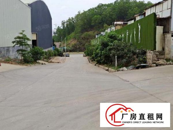  黄江原房东独院独路钢构5000方，主干道高速旁