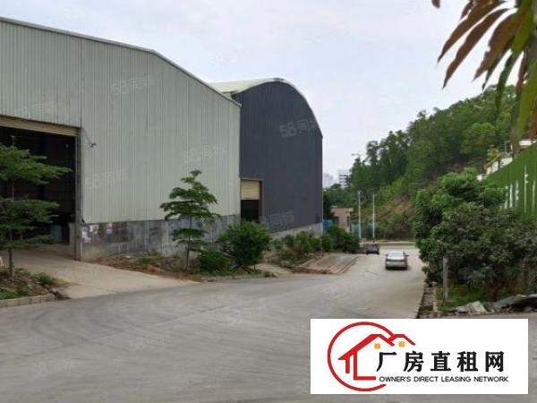  黄江原房东独院独路钢构5000方，主干道高速旁