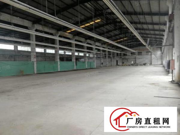  黄江镇中心新出10米高钢构厂房2100平米