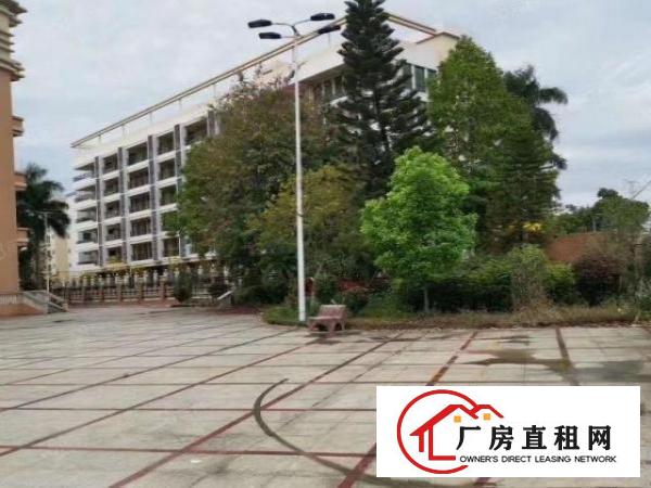  黄江胜前岗新出国有土地标准建筑厂房6800平方出租，丙类消防