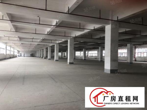  黄江镇出租标准厂房楼上3000平方可分租，现成消防喷淋