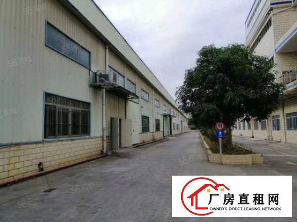  1300平方12米高钢构现成装修黄江镇厂房招租