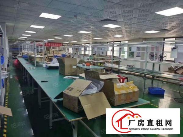  黄江星光新出精装修三楼1200平方