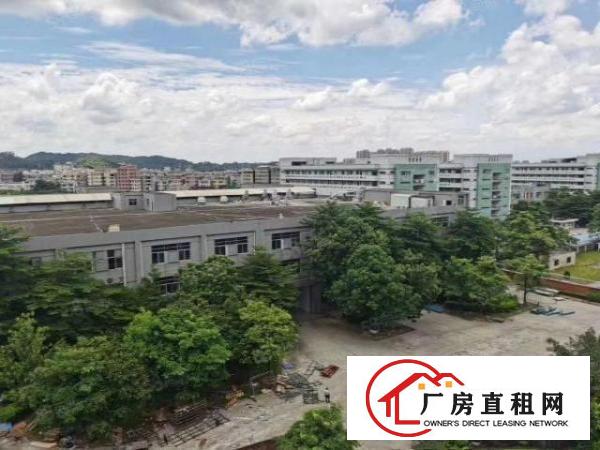  黄江新出花园式厂房80000平方出租