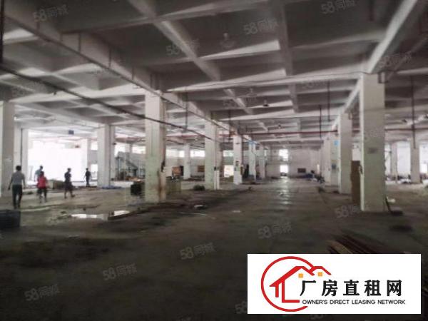  黄江新出花园式厂房80000平方出租