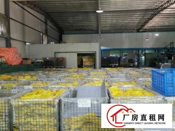  黄江新出带喷粉喷油环保厂房5000平米可分租