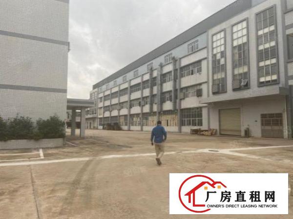  田心原房东出租独院厂房2000出，空地大可随意分租