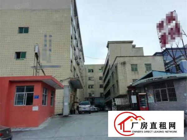  黄江临深标准一楼500方带航车，原房东无公摊，高度6米