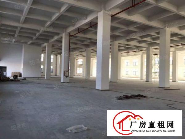  黄江鸡啼岗原房东一楼900平方出租