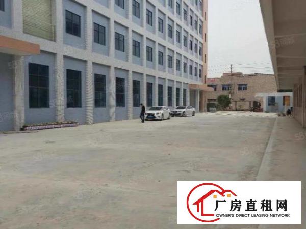  黄江鸡啼岗原房东一楼900平方出租