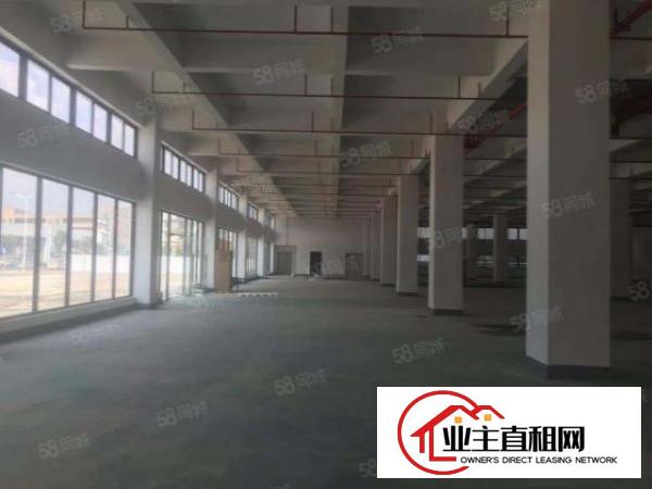  田心一楼高度6.5米厂房3000平方出租可分租1500平方